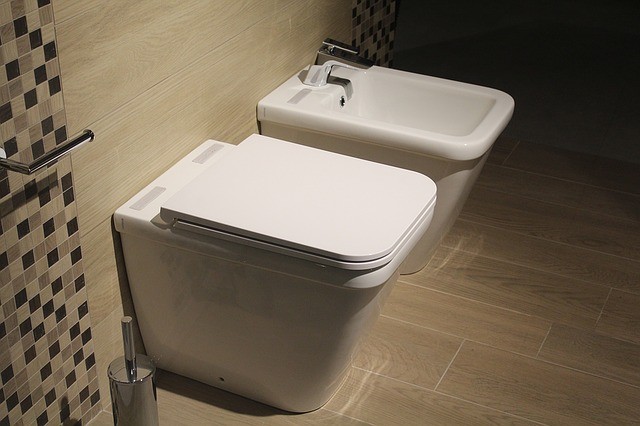 double toilets