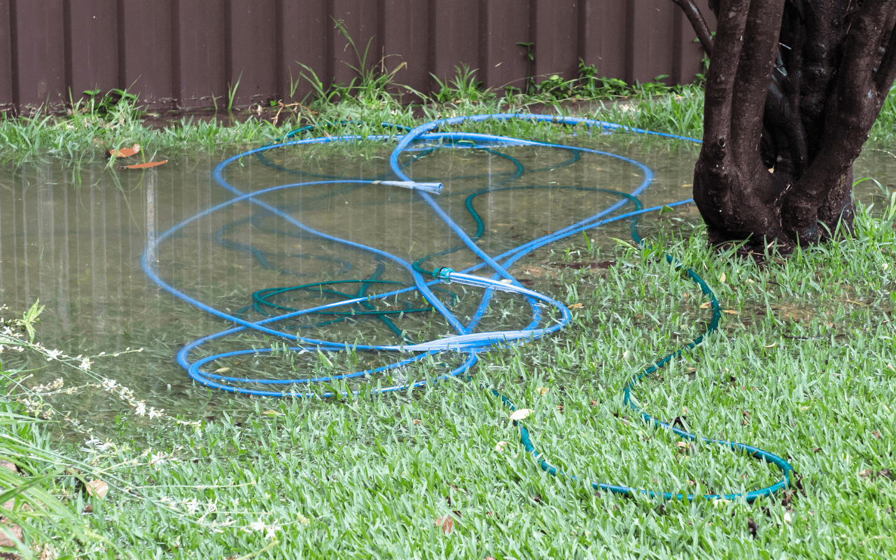 Flooded yard