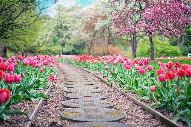beautiful path with garden and flowers