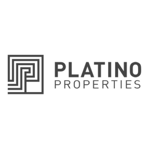 Platino Properties
