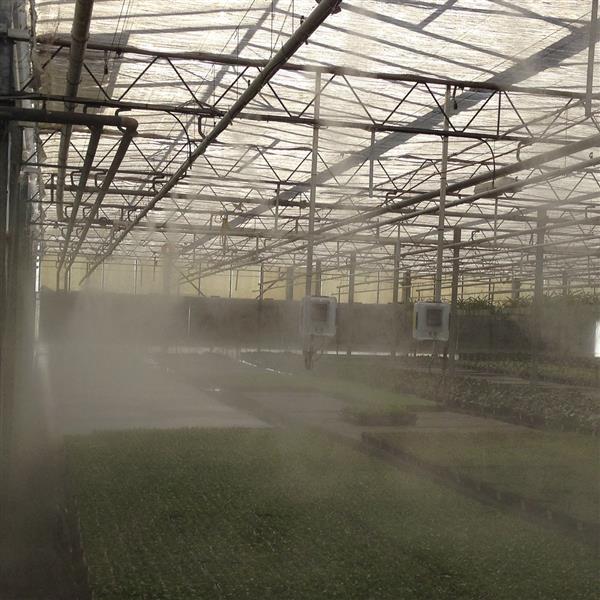 Industrial PRO Fog 70 Ambiente - Greenhouse Use