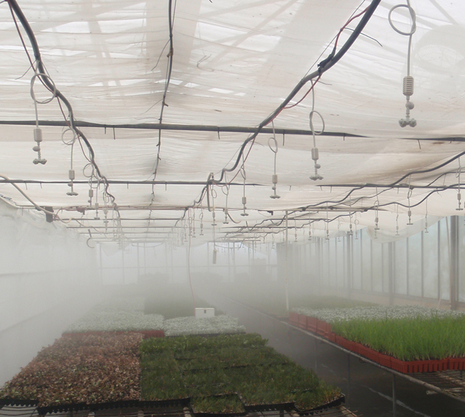 Misting System for temperature and humidity control in greenhouse 