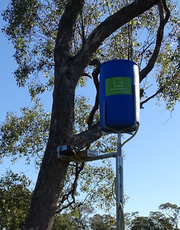 Arboreal Water Drinkers 