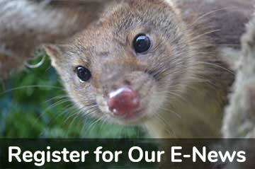Register for Our E-News