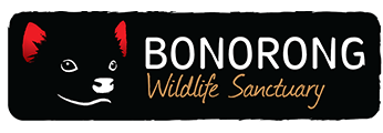 Bonorong Wildcrae Sanctuary