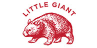 Little Giant Swine