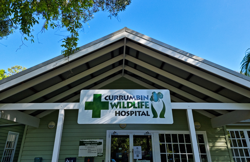 Official Opening of Currumbin Wildlife Hospital Extension