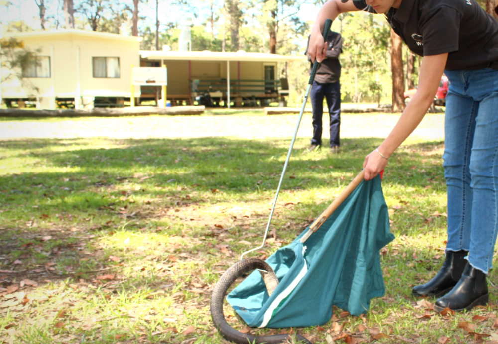 Snake-friendly Fire and Rescue