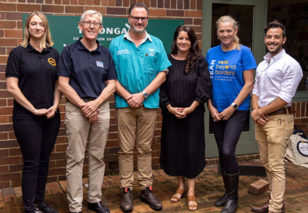 Vets Beyond Borders - upskilling the veterinary sector to help wildlife  