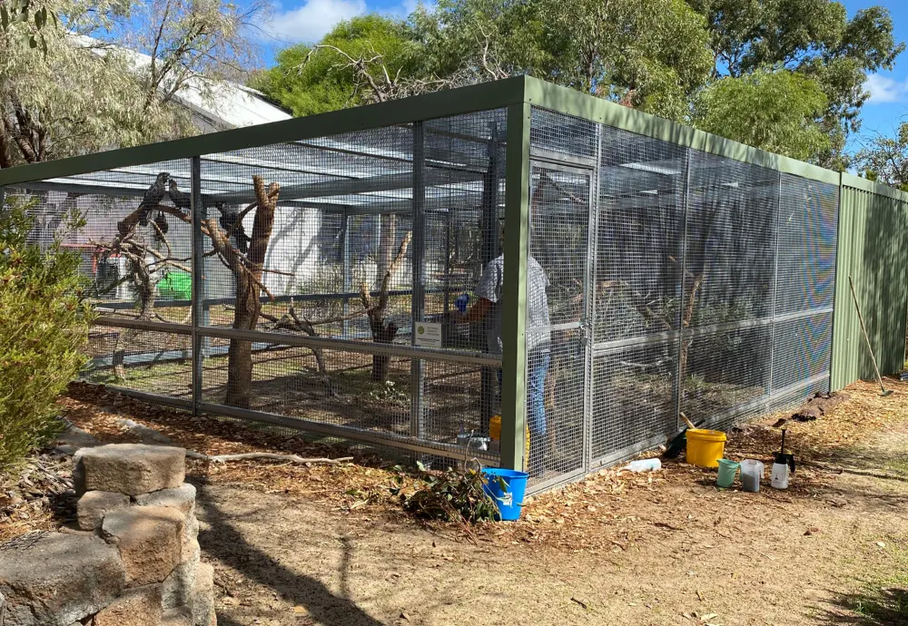 Helping Endangered Cockatoos: WIRES Grant Success Story