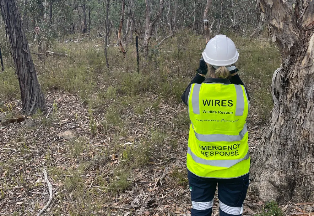 Emergency Response Training for Wildlife Volunteers