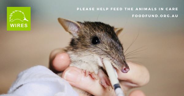 Food Fund for Wildlife in Care