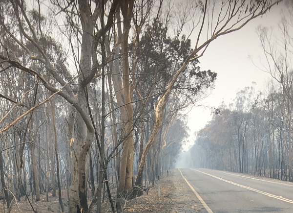 Unrelenting Fire Emergency
