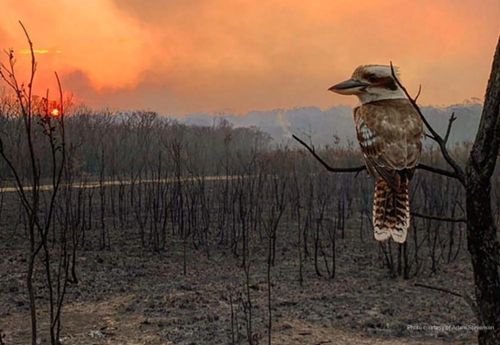 Australia State of the Environment Report 2021