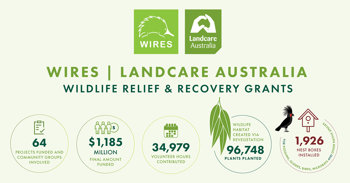 WIRES Landcare Grants Impact