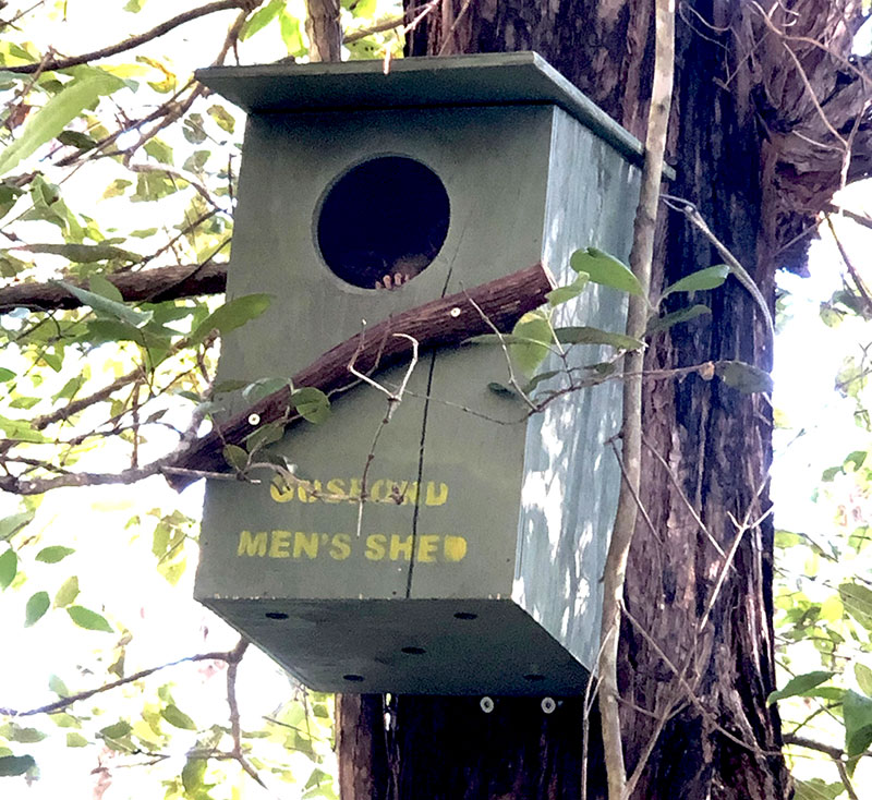 Men's Sheds Helping Wildlife