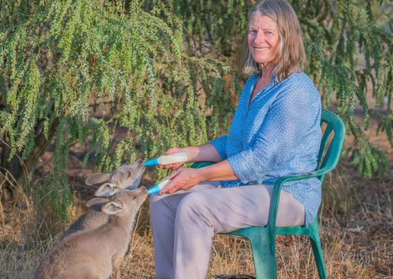 WIRES Celebrates 30 years of rescuing NSW’s native wildlife