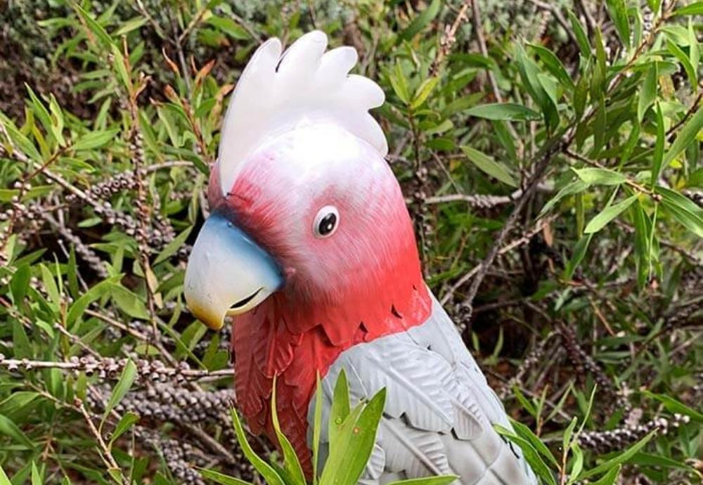 Spring has sprung: Native Animal ornaments are back at Woolworths