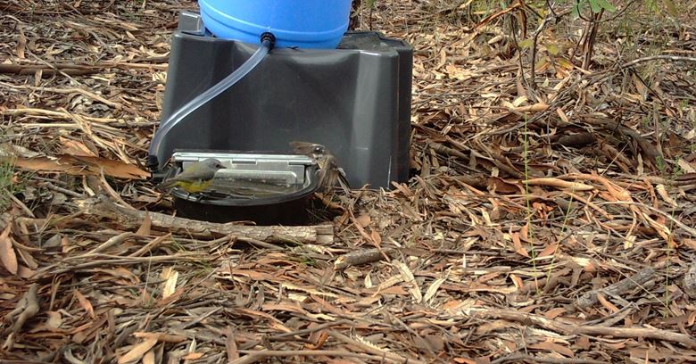 Water Stations for Wildlife