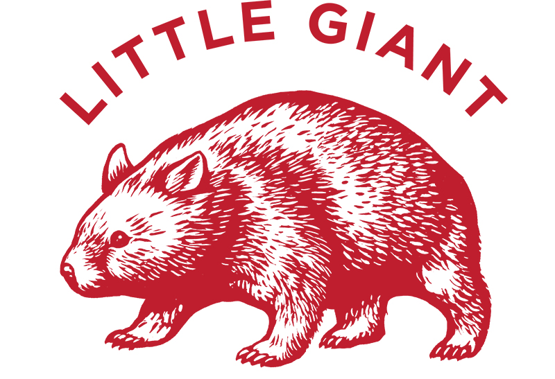 Little Giant