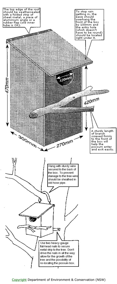 Making a possum box
