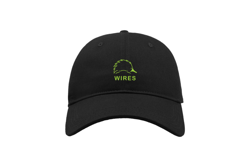 Cap Black with green embroidery front only