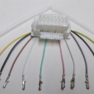 Data Connector
