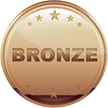 bronze Sponsors Medal