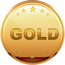 Gold Sponsors Medal