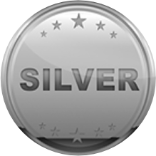 Silver Sponsors Medal