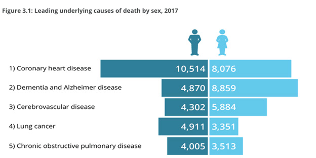 PageData.props.webapp_item_title