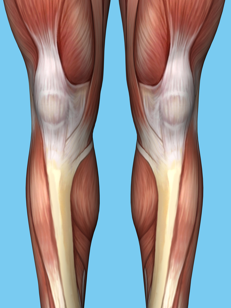 Shin Splints | Treatment Strategies