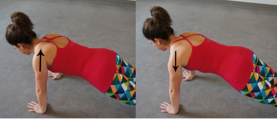 PageData.props.webapp_item_title