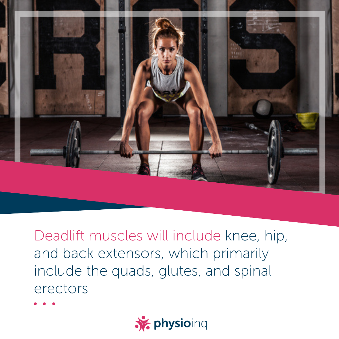 How to Stretch After Deadlifts