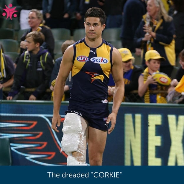 PageData.props.webapp_item_title