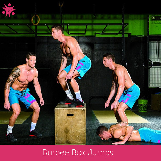 PageData.props.webapp_item_title