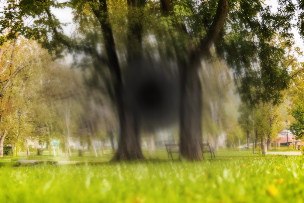 PageData.props.webapp_item_title