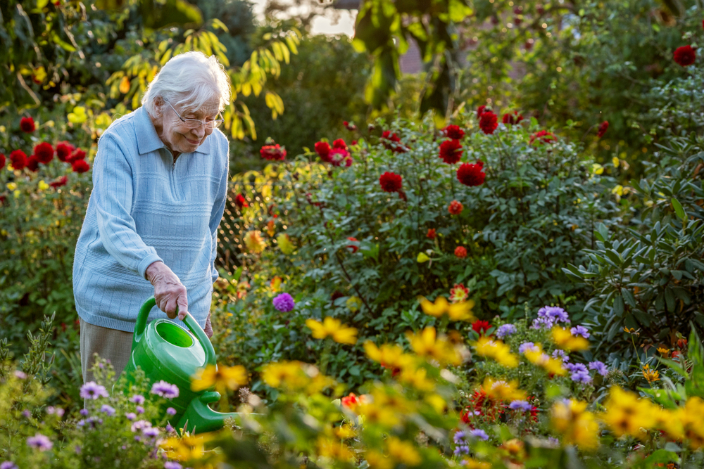 Innovative Approaches to Dementia Aged Care: The Role of Physiotherapists