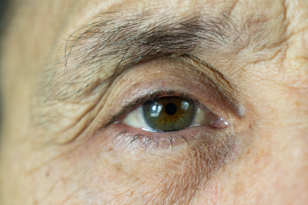 Rehabilitation Options for Individuals with Macular Degeneration 