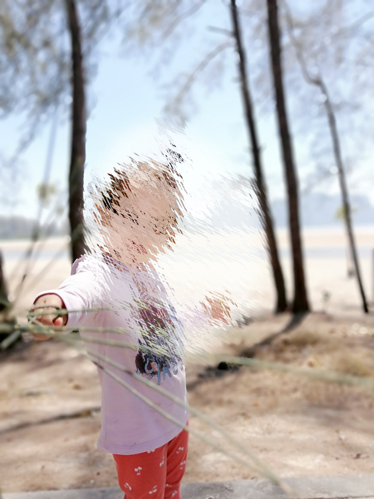 PageData.props.webapp_item_title