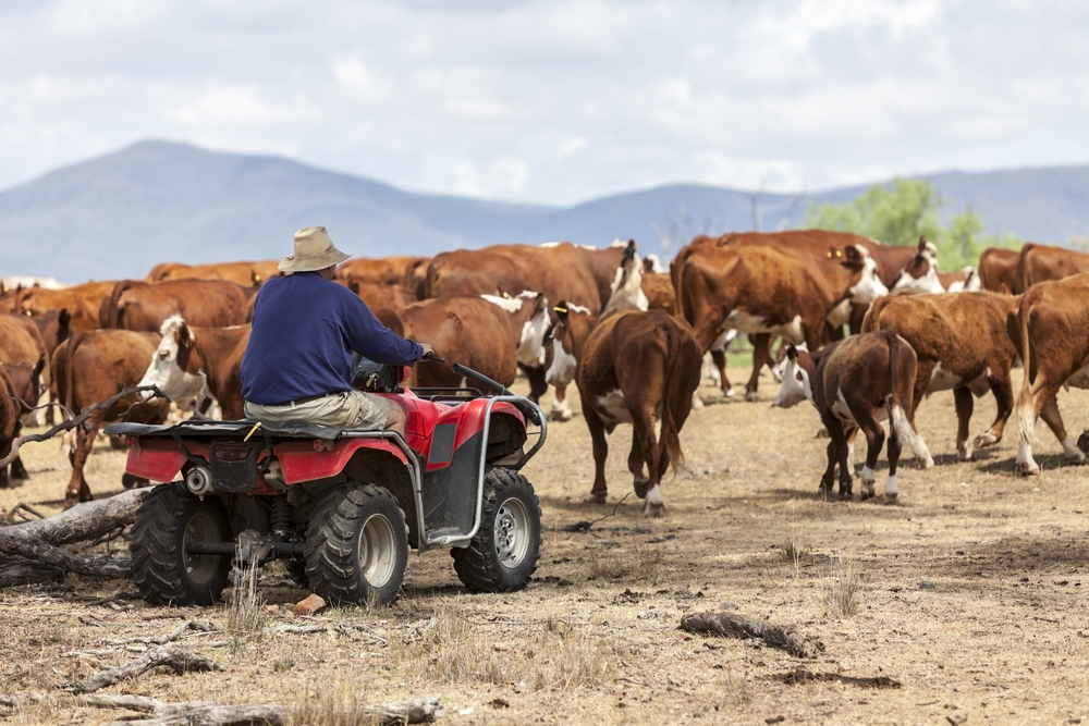 NDIS Support in Remote Communities: The Advantage of Telehealth Services 