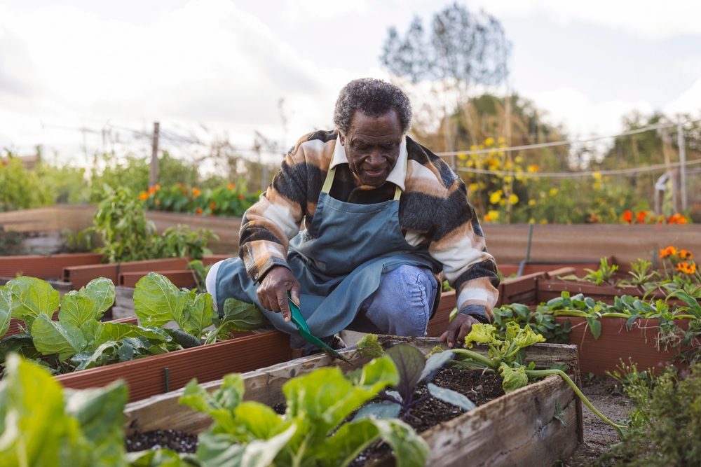 How to Get the Most Value Out of Your Aged Care Home Care Package: A Health First Approach 