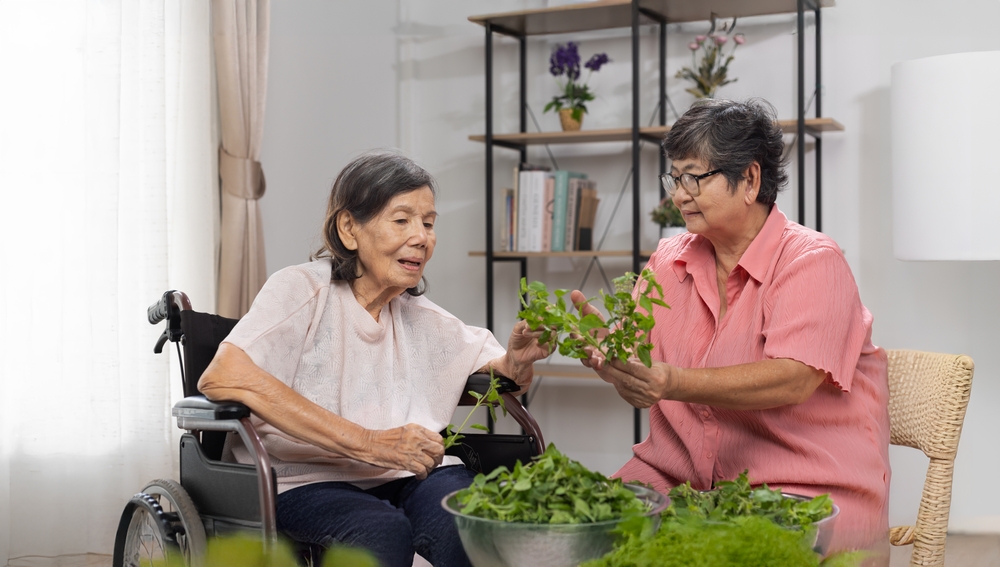 PageData.props.webapp_item_title