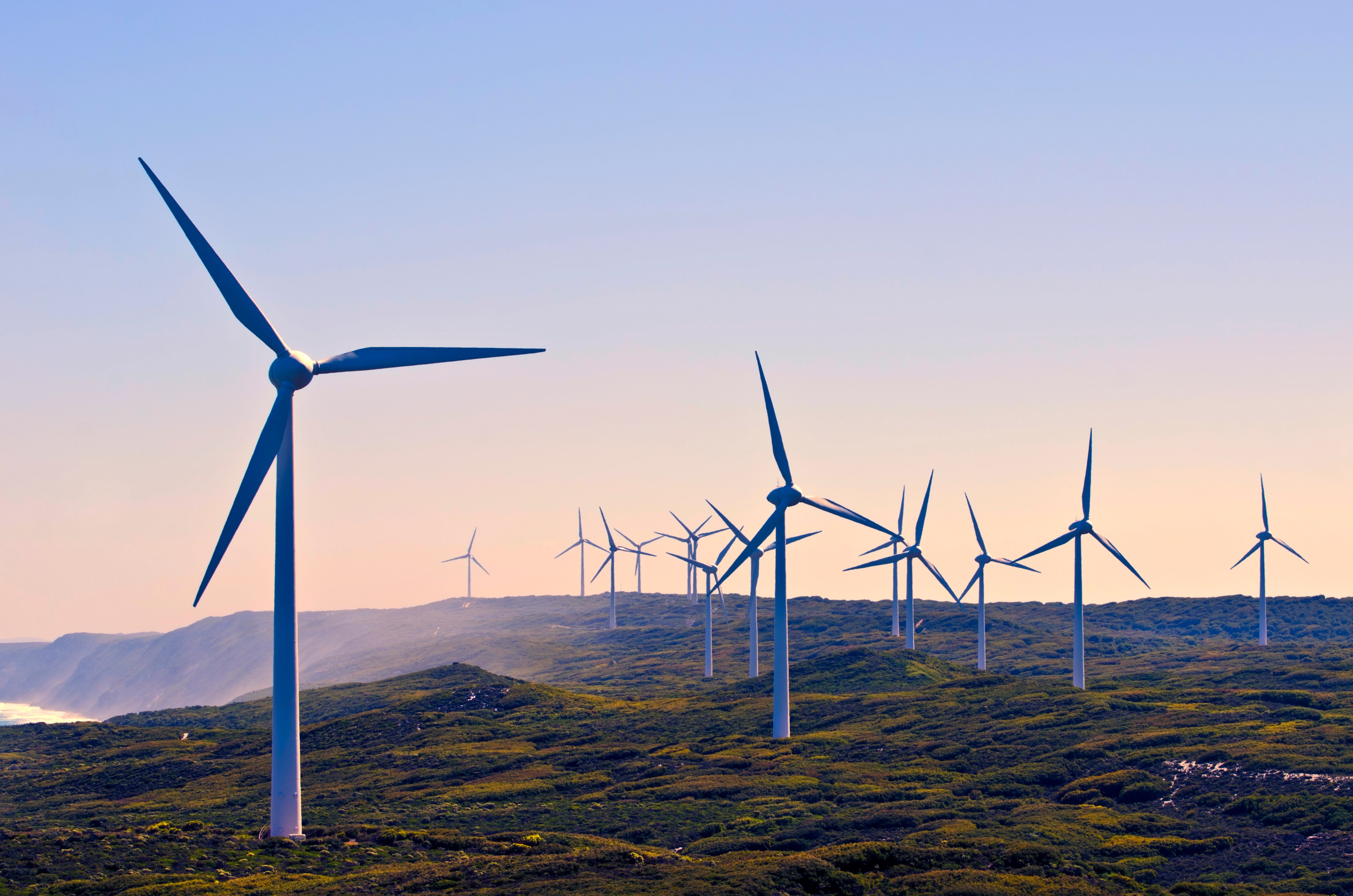 A picturesque scene from Albany Wind Farm, showcasing wind turbines overlooking the ocean. 