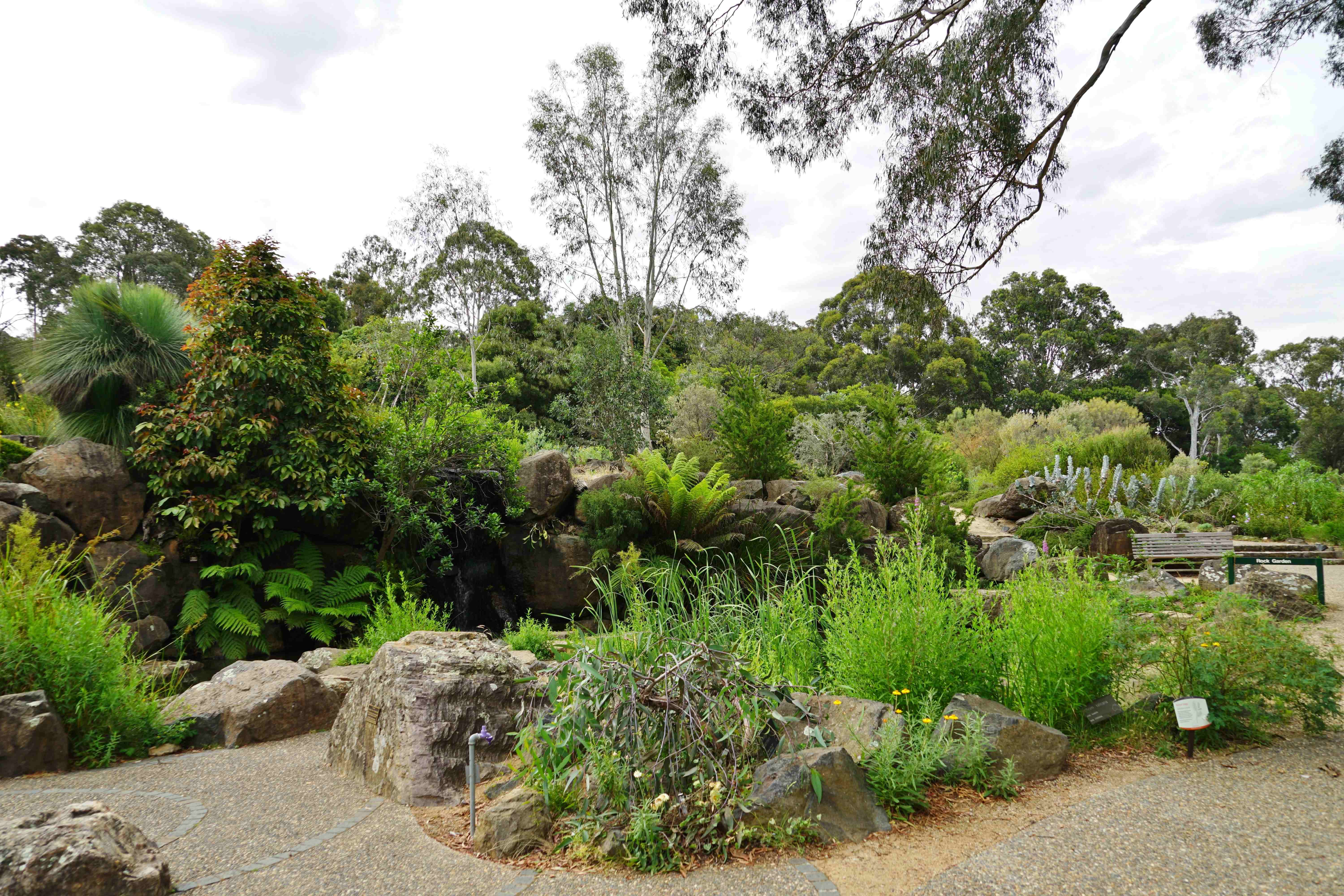 A lush green landscape of the Australian National Botanic Gardens, featuring colorful blooms, winding pathways, and native vegetation. 