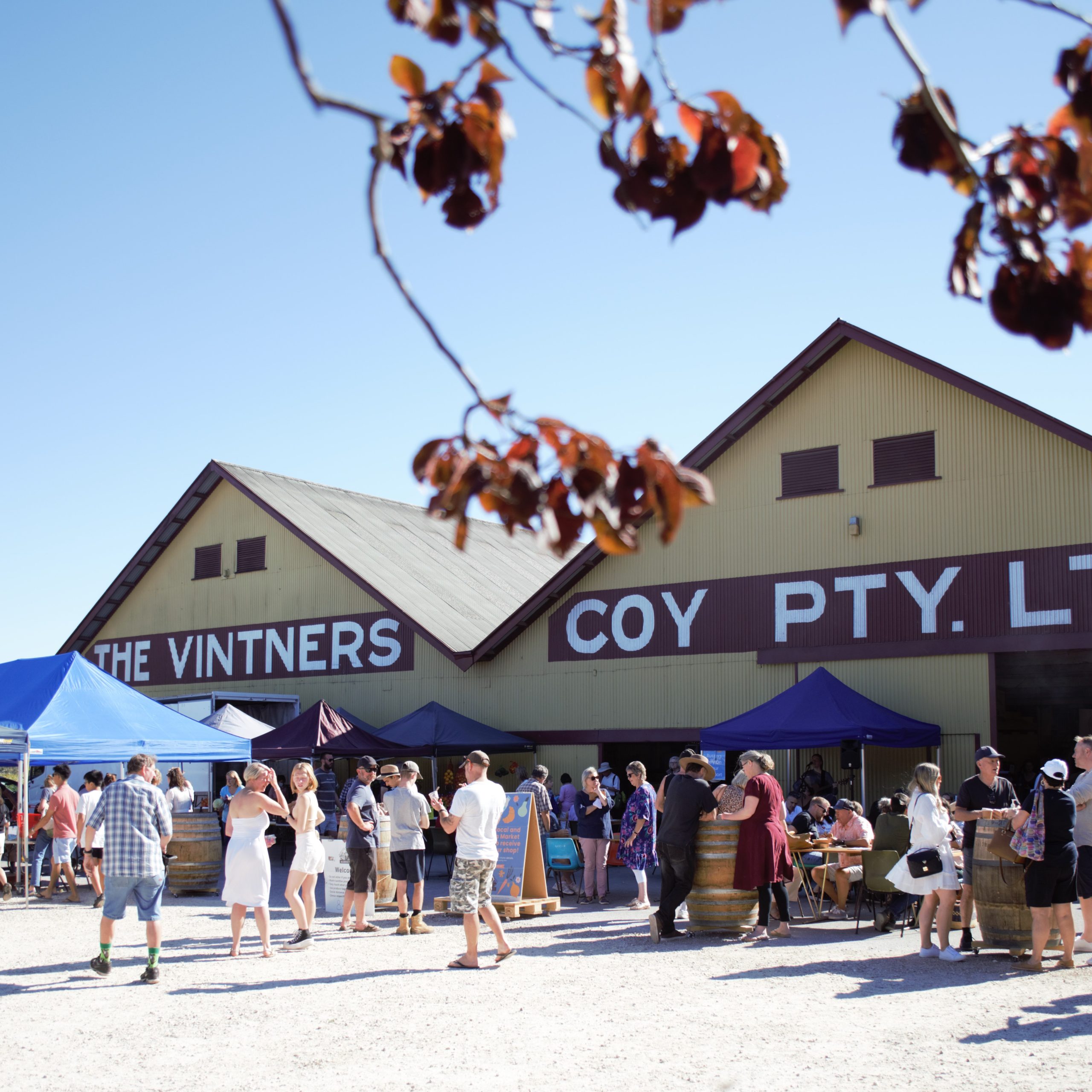 Busy market stalls brimming with colorful fruits, vegetables, and baked goods.