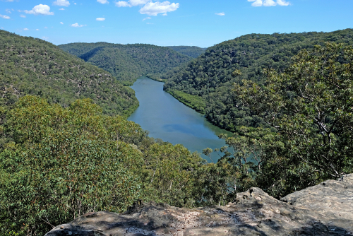 A breathtaking view of Berowra Valley National Park, showcasing its dense eucalypt forests, deep gorges, and the serene Berowra Creek winding through the valley. The natural beauty of the area is on full display, inviting adventurers and nature enthusiasts to explore its vast wilderness.