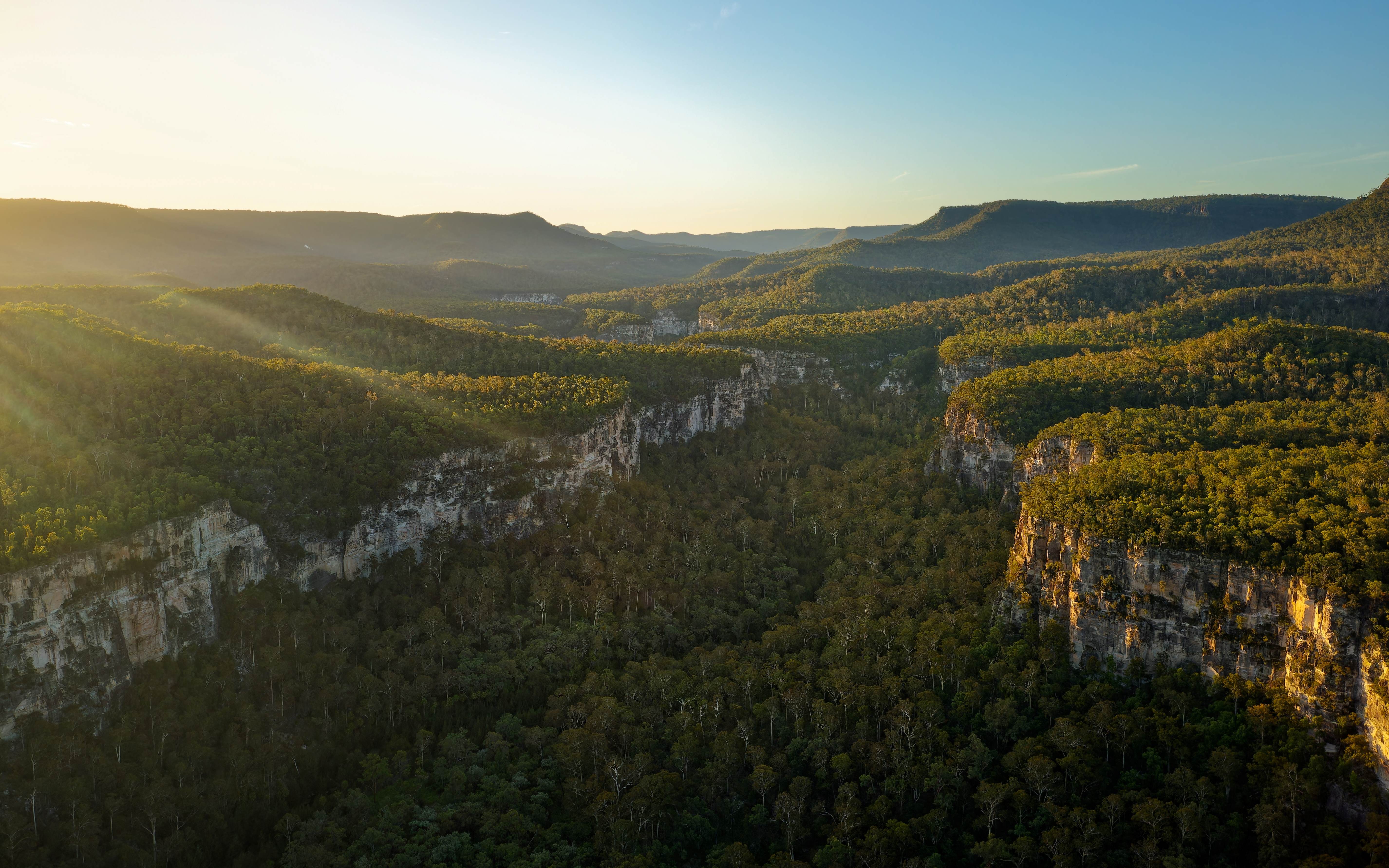 A breathtaking image of Carnarvon Gorge, showcasing its towering cliffs and lush vegetation. 