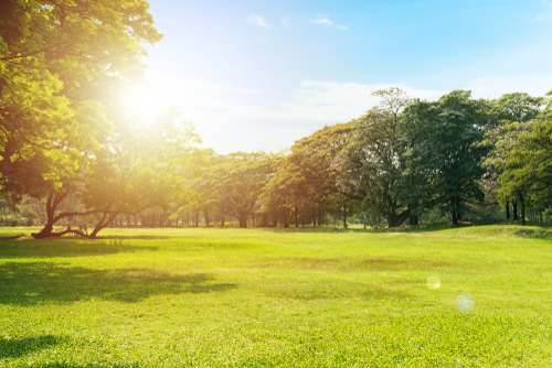 The expansive Casula Parklands, a breath of fresh air with lush grass areas, modern play equipment, and scenic walking paths under the Australian sun. Families and friends engage in various outdoor activities, showcasing the area's appeal as a communal and recreational haven in South West Sydney.