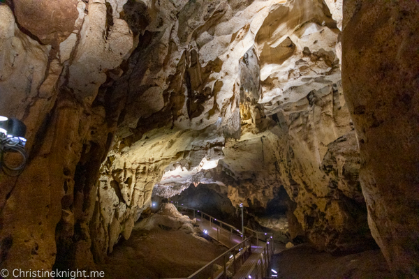 A photo of the entrance to Cutta Cutta Caves, with stalactites hanging from the ceiling and stalagmites rising from the ground. 